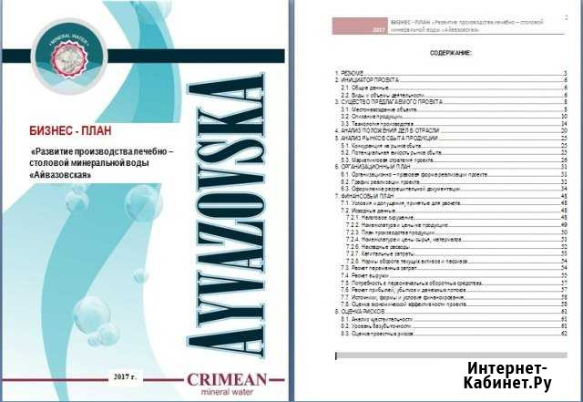 Разработка бизнес-плана для банка, инвестора Екатеринбург - изображение 1