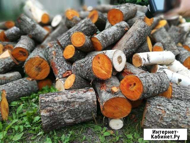 Дрова бесплатно Тольятти - изображение 1