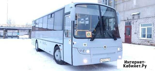 Пассажирские перевозки на автобусах от 7 до 39 мес Соликамск - изображение 1