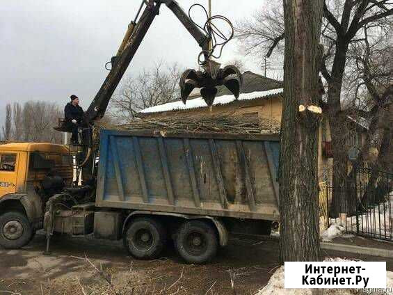 Снос домов Бор - изображение 1