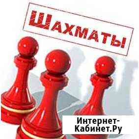 Шахматы Раменское