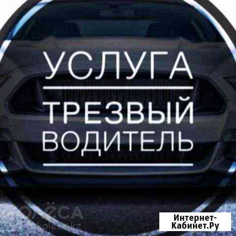 Трезвый водитель Канаш