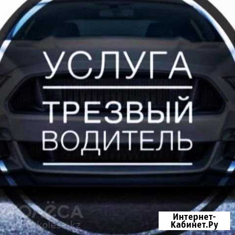 Трезвый водитель Канаш - изображение 1
