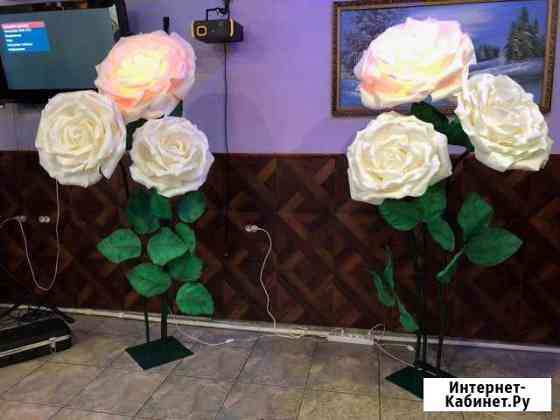 Ростовые цветы Курск