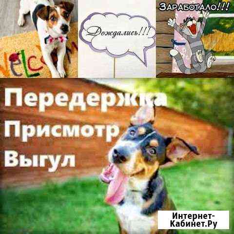 Передержка животных Орехово-Зуево