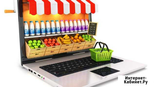 Создание интернет магазина и продвижение Новосибирск - изображение 1