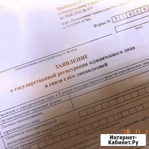 Ликвидация организаций Челябинск - изображение 1