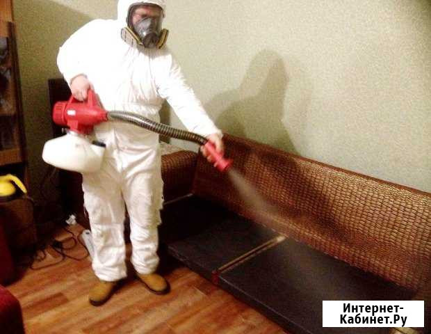 Услуги дезинсекции, дезинфекции, дератизация Москва - изображение 1