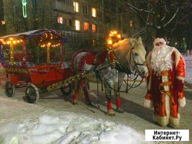 Заказ Деда Мороза и Снегурочки Раменское - изображение 1