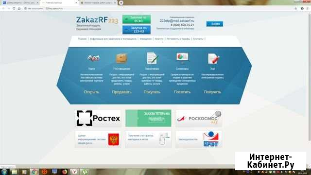 Тендера, электронный аукцион Набережные Челны - изображение 1