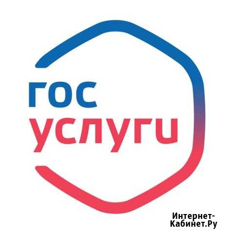 Госуслуги Арсеньев - изображение 1