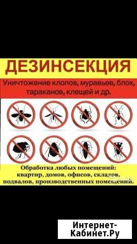 Дезинфекция Набережные Челны - изображение 1