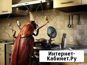 Дезинфекция Новосибирск - изображение 1