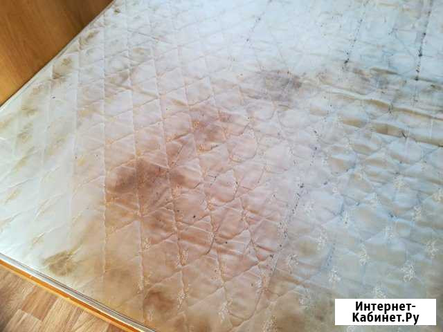Химчистка авто, ковров и ковровых покрытий Сызрань - изображение 1