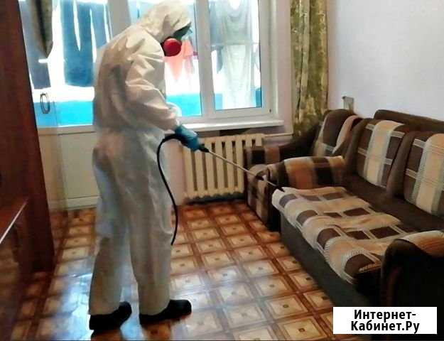 Уничтожение клопов, тараканов, крыс, плесень и др Челябинск - изображение 1