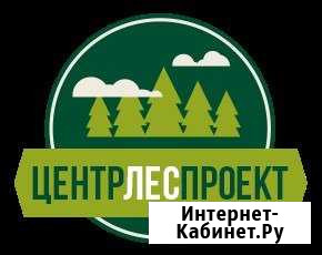 Разработка проектов освоения лесов центрлеспроект Красноярск - изображение 1
