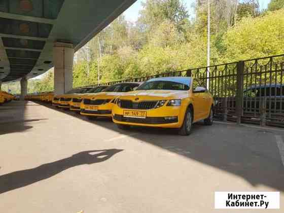 Аренда авто под такси Kia Optima и Skoda Octavia Москва