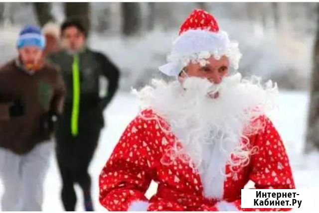 Дед Мороз и Снегурочка Свободный - изображение 1