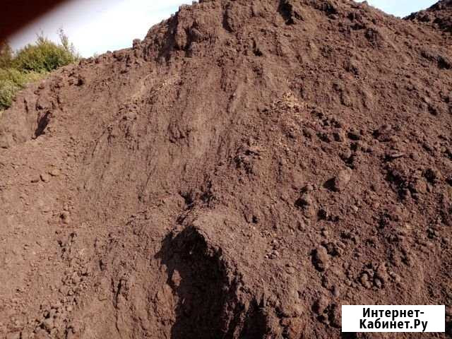 Земля для посадки Куровское - изображение 1