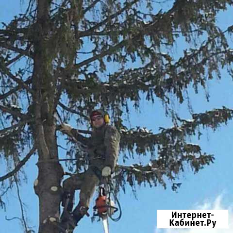 Спил деревьев Дзержинск - изображение 1