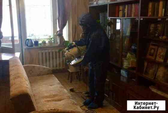 Уничтожение клопов, тараканов, мышей, плесени Королев