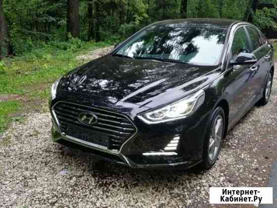 Аренда/раскат Hyundai Sonata/Kia Optima Санкт-Петербург