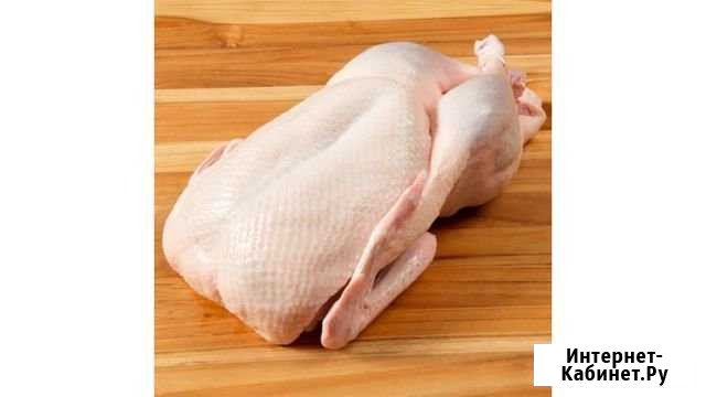 Продам мясо гусей Ангарск - изображение 1