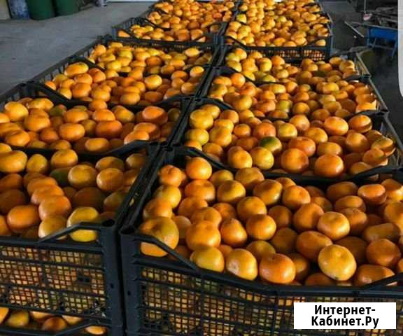 Ищу компаньона/инвестора Сургут - изображение 1