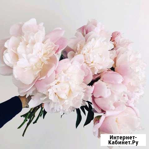 Презентация/видеоролик на заказ Санкт-Петербург - изображение 1