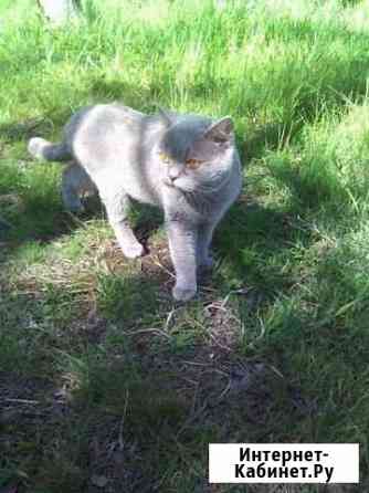 Вязка Санкт-Петербург