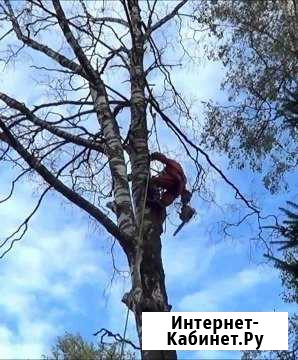 Спил деревьев без автовышки Йошкар-Ола - изображение 1