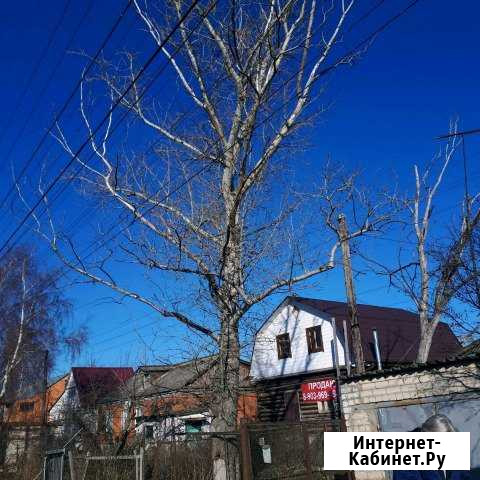 Спил деревьев Скопин - изображение 1