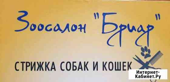 Стрижка собак и кошек Москва