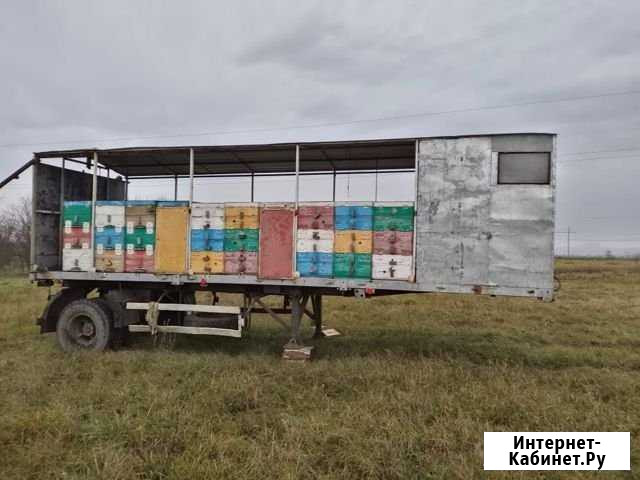 Продам пчелоприцеп Дондуковская - изображение 1