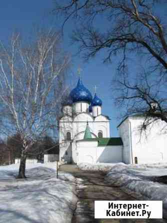 Гид-экскурсовод Владимир