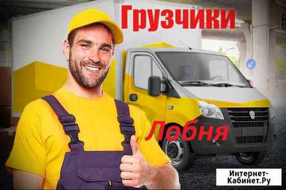 Грузчики (рохля) Лобня
