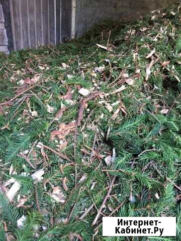 Вывоз порубочных остатков Санкт-Петербург - изображение 1