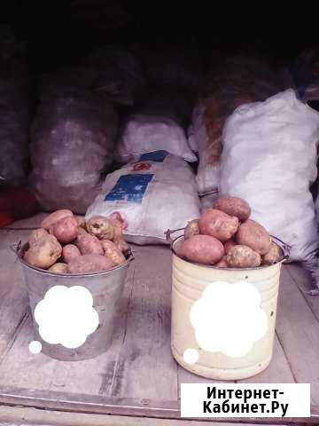 Продам Башкирский картофель Златоуст - изображение 1