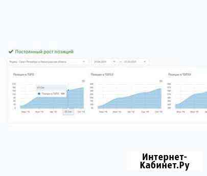 SEO продвижение Ваших сайтов в топ 5 в Яндексе Санкт-Петербург