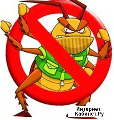 Травля и уничтожение насекомых Ростов-на-Дону - изображение 1