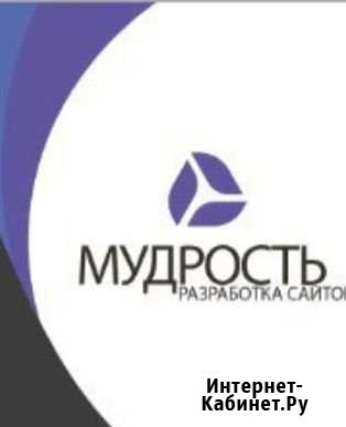 Разработка и создание сайтов Ульяновск - изображение 1