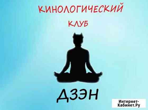 Дрессировка собак Краснодар
