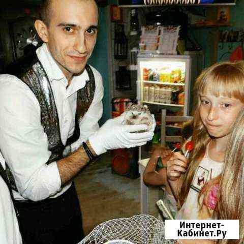 Фокусник в Батайске Батайск