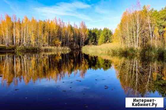 Фотограф в Донском Донской