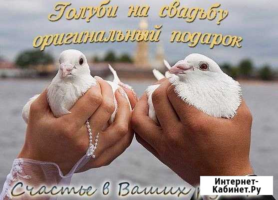 Голуби на свадьбу Старая Русса - изображение 1