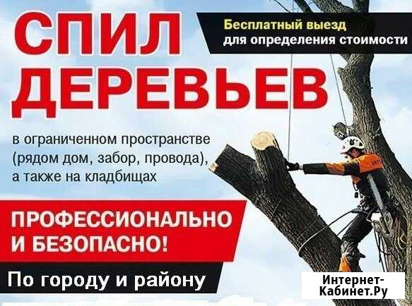 Спил,кронирование деревьев Шуя - изображение 1
