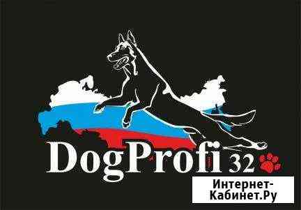 Дрессировка собак по различным направлениям Брянск