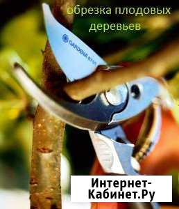 Обрезка садов Хвалынск - изображение 1