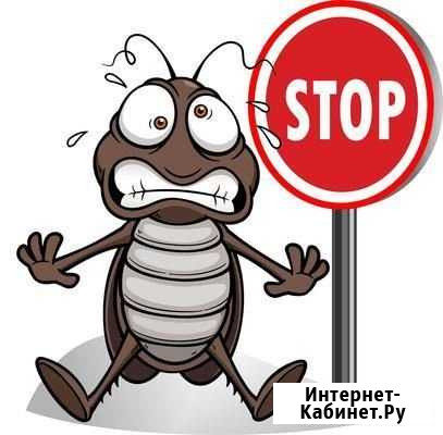 Уничтожение насекомых. Дезинфекция Новосибирск - изображение 1