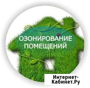 Беспокоят запахи, плесень, грибок, насекомые и тд Березники - изображение 1